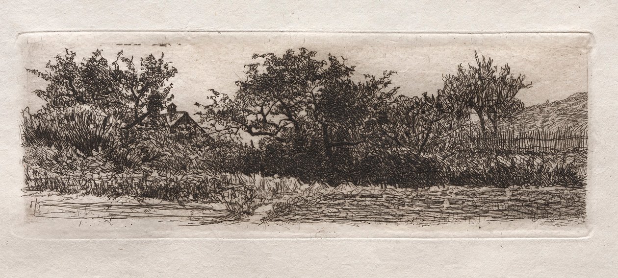 Katot ja puut, 1879. tekijältä Otto H. Bacher
