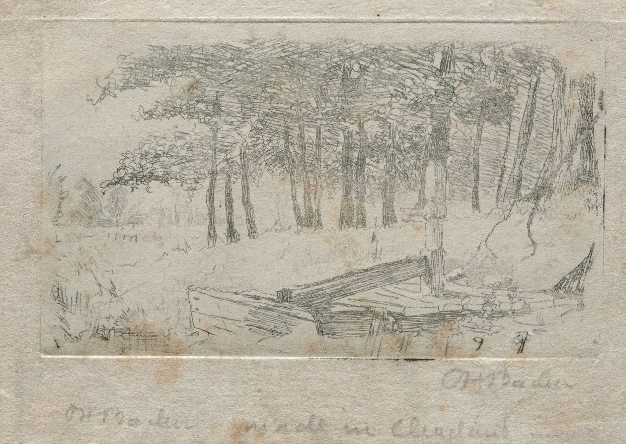 Luonnos luonnosta, 1879. tekijältä Otto H. Bacher