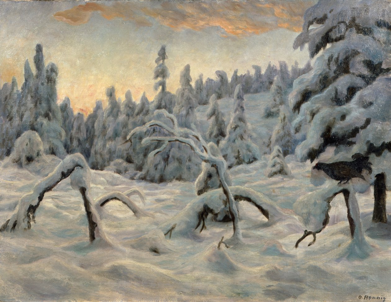Kuusimetsä lumisateen jälkeen tekijältä Otto Henning