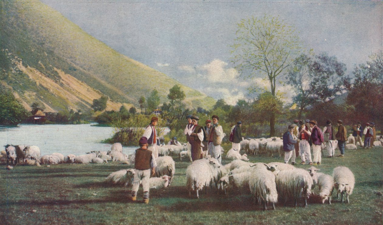 "Bosnia ...", 1920 tekijältä Otto Holbach