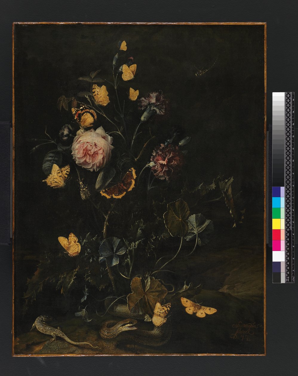 Kukat, hyönteiset ja matelijat, 1673 tekijältä Otto Marseus  van Schrieck