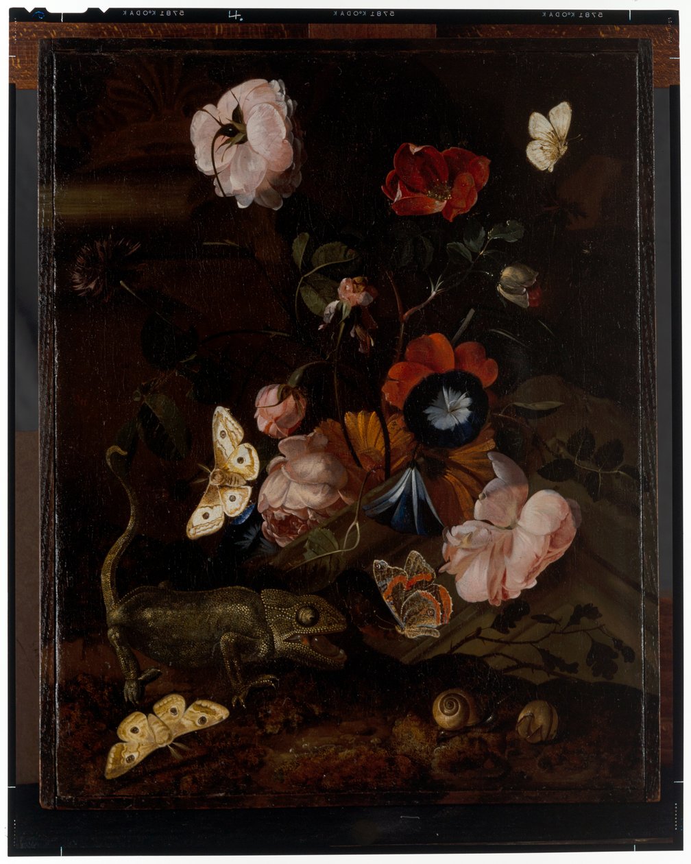 Metsän asetelma tekijältä Otto Marseus  van Schrieck