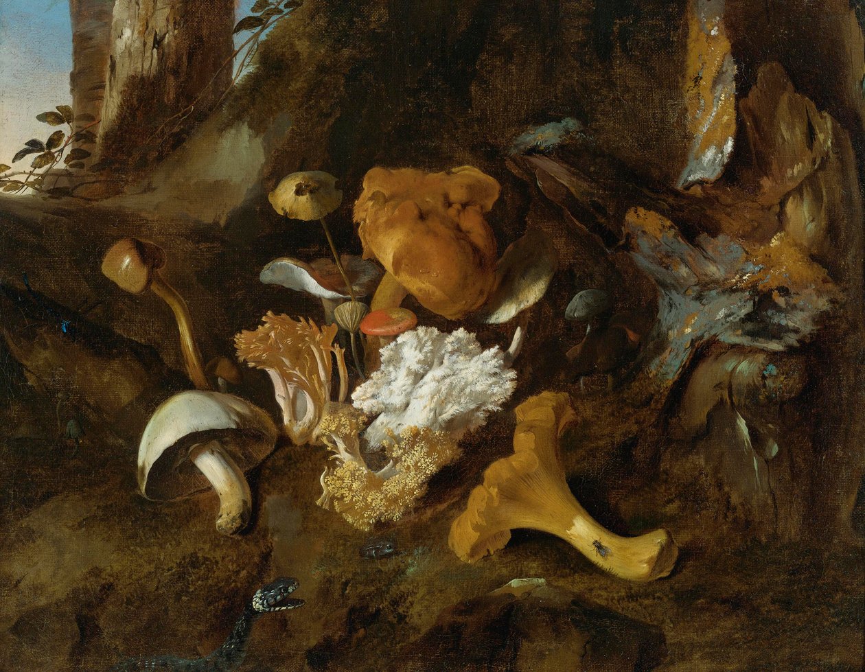 Metsänpohjan asetelma, jossa sieniä, perhosia ja käärme tekijältä Otto Marseus  van Schrieck