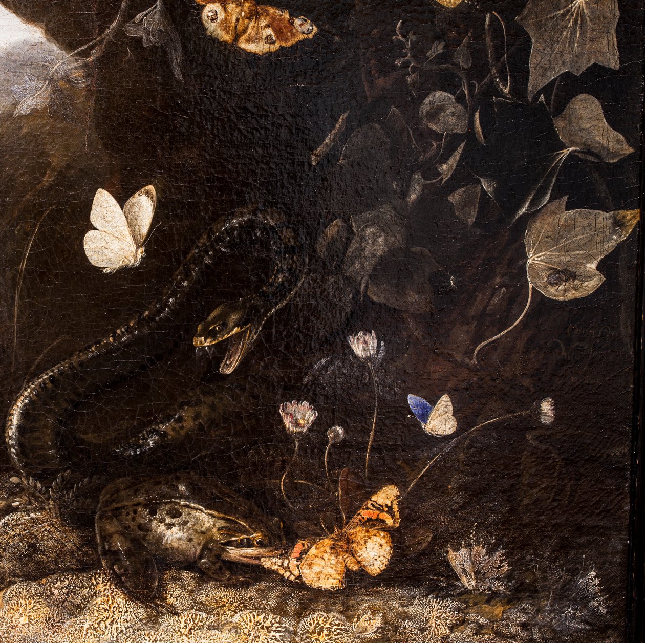 Käärmeet, konnat ja perhoset tekijältä Otto Marseus van Schrieck