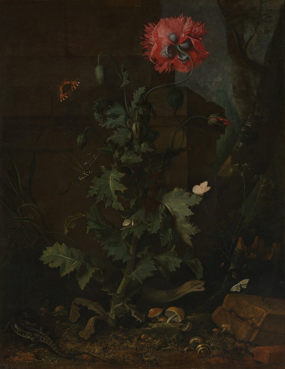 Asetelma unikon, hyönteisten ja matelijoiden kanssa, n. 1670. tekijältä Otto Marseus  van Schrieck