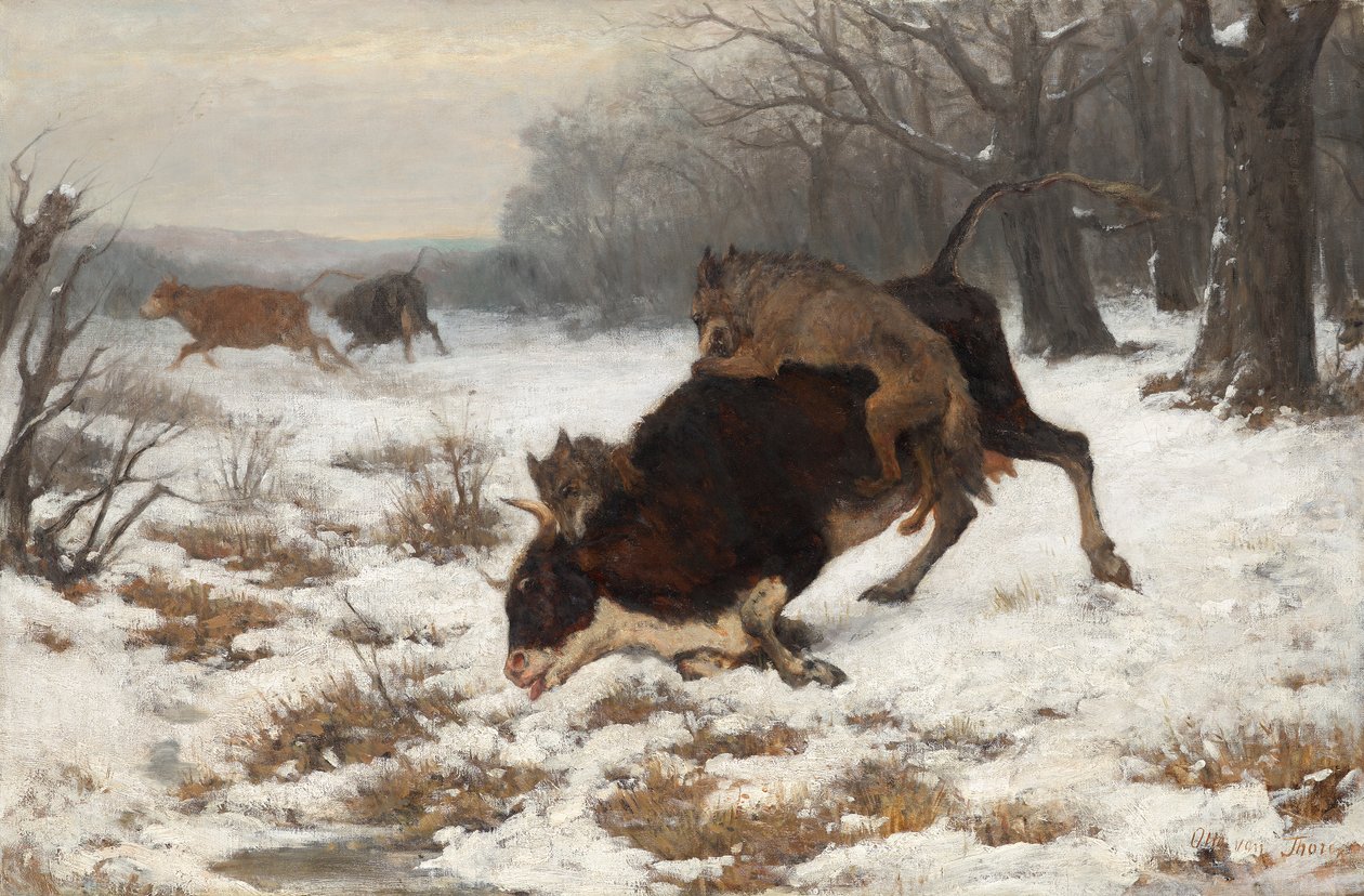 Sudet hyökkäävät lehmän kimppuun tekijältä Otto von Thoren