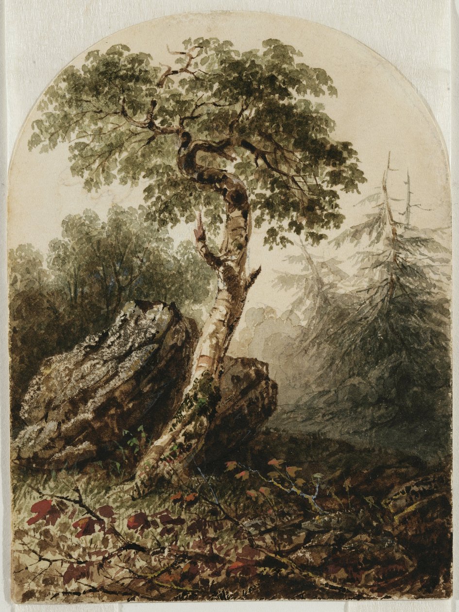 Maisema koivulla, 1859 (wc, jossa lyijykynän jälkiä ja ehkä guassia kermanvärisellä paperilla) tekijältä Owen G. Hanks