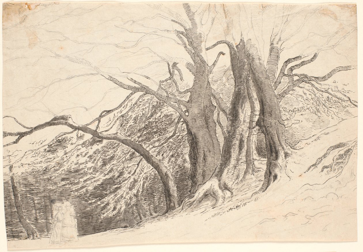 Bluff suurilla puilla metsässä, kahden kävelevän naisen kanssa. tekijältä P.C. Skovgaard
