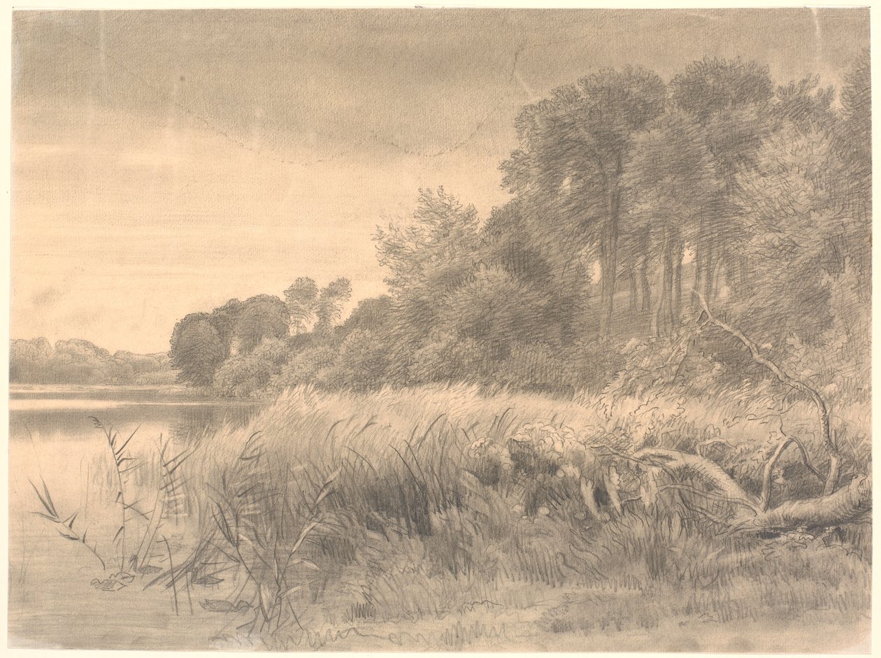 Maisema metsäjärvellä. Gurren järvi. tekijältä P.C. Skovgaard