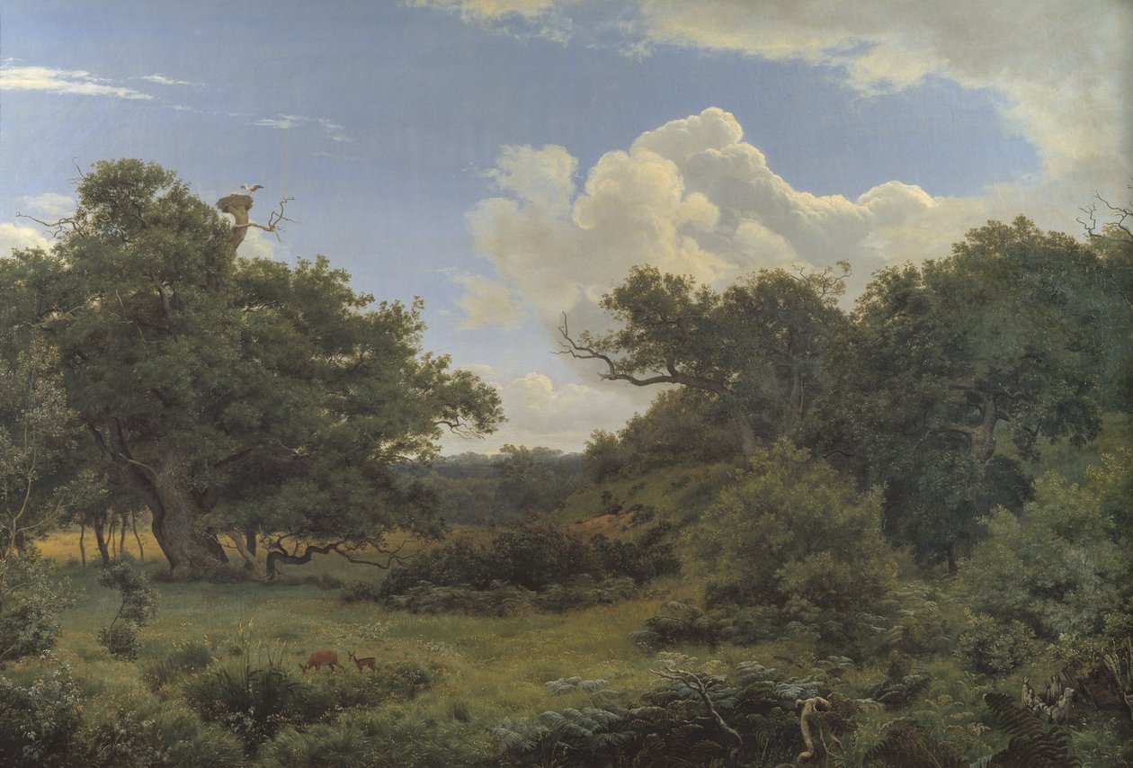 Oak Trees Nordskovenissa lähellä Jægersprisiä, Seelannissa tekijältä P.C. Skovgaard