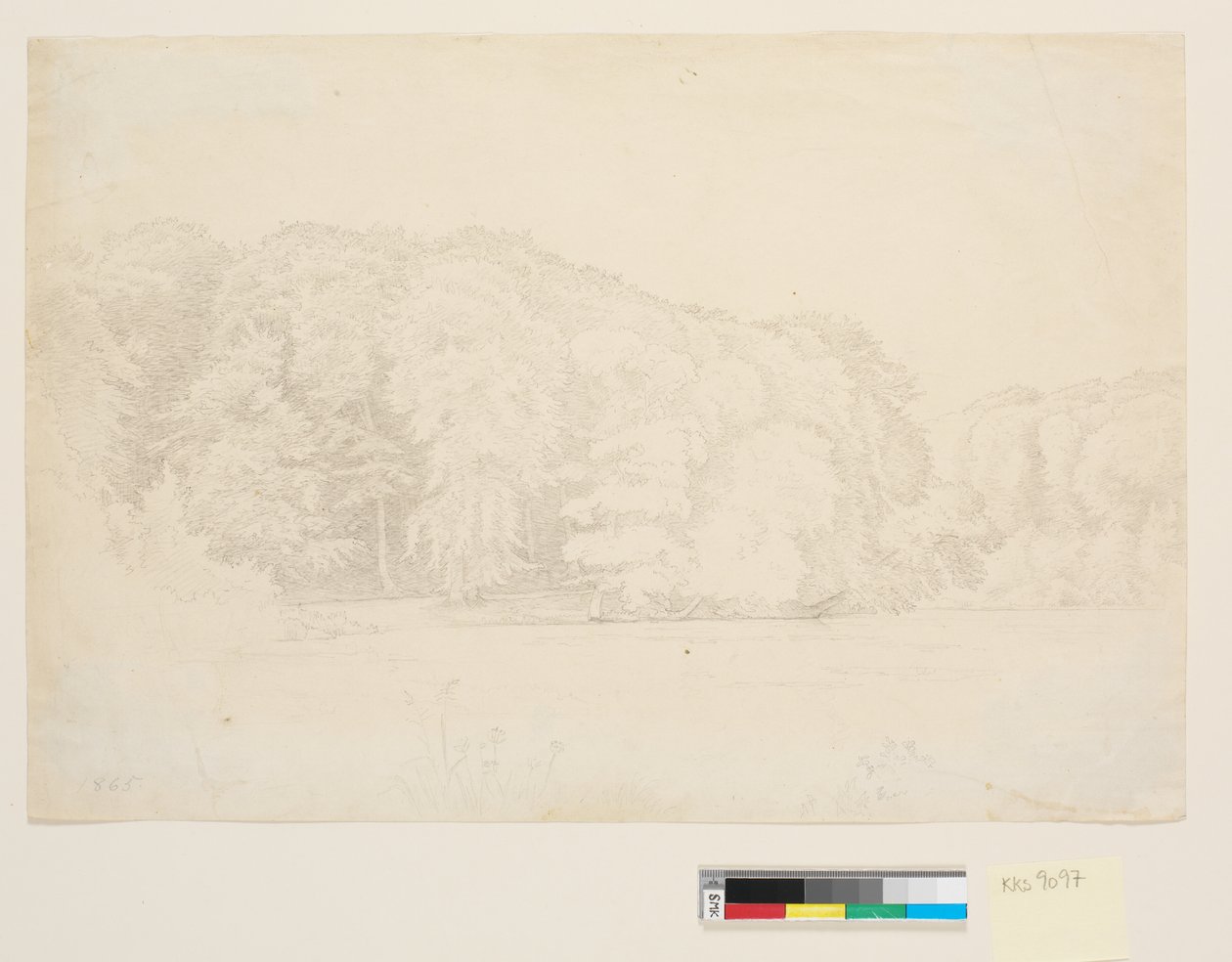 Skovsø suurilla pyökkipuilla taustalla. tekijältä P.C. Skovgaard