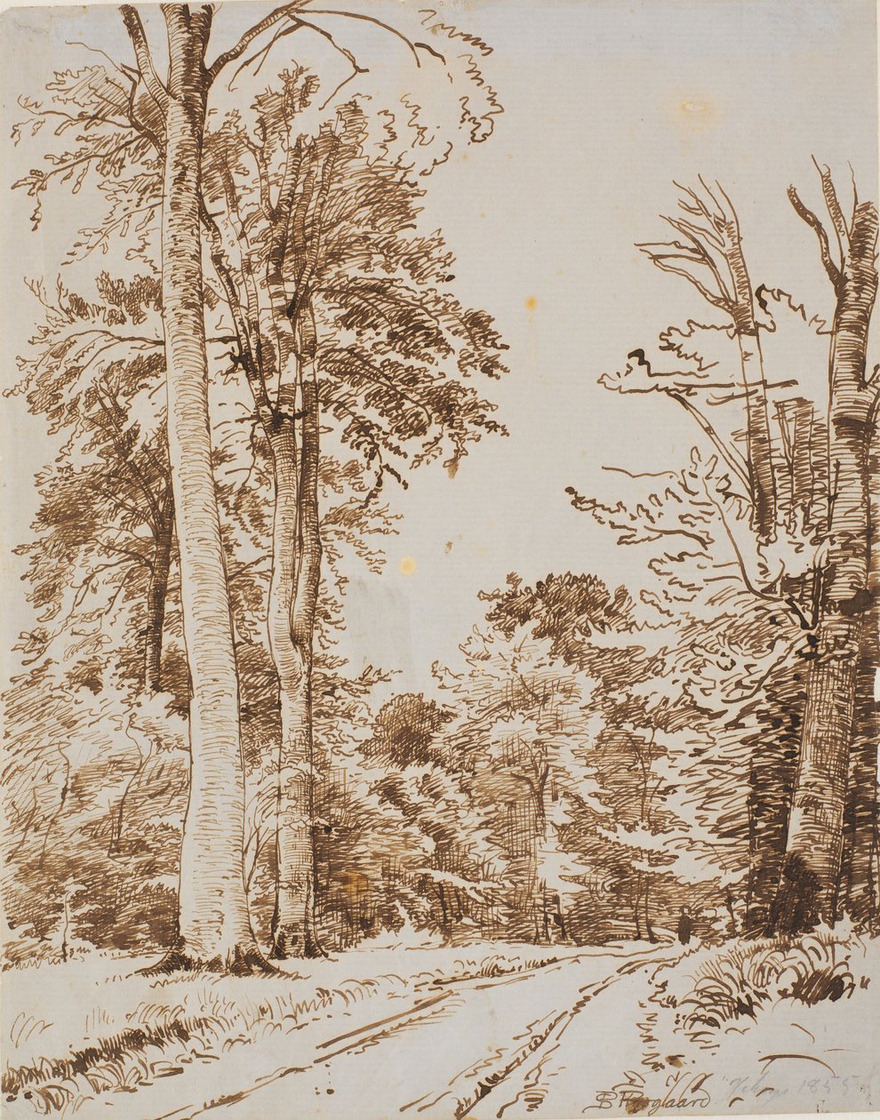 Metsätie. Iselinge tekijältä P.C. Skovgaard