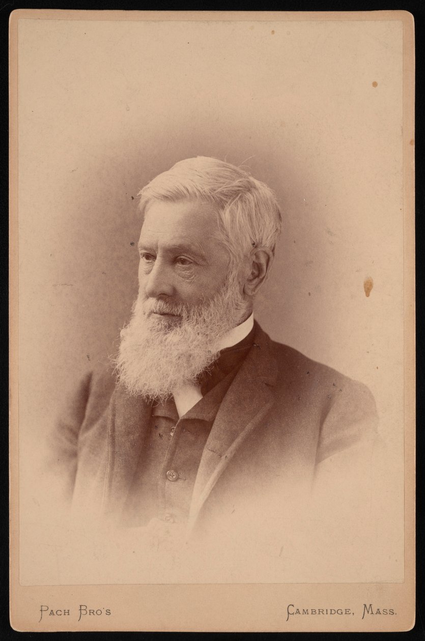 Asa Grayn muotokuva 1810-1888, maaliskuu 1887. tekijältä Pach Bros