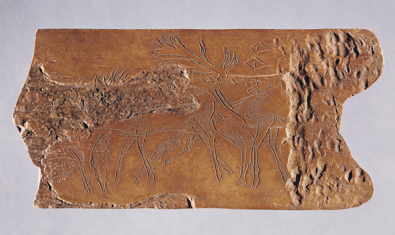 Peuroista ja hyppivästä lohesta kaiverrettu poronsarvi, Grotte de Lortet, Magdalenian, 15000-18000 eKr. (sarvi) tekijältä Paleolithic