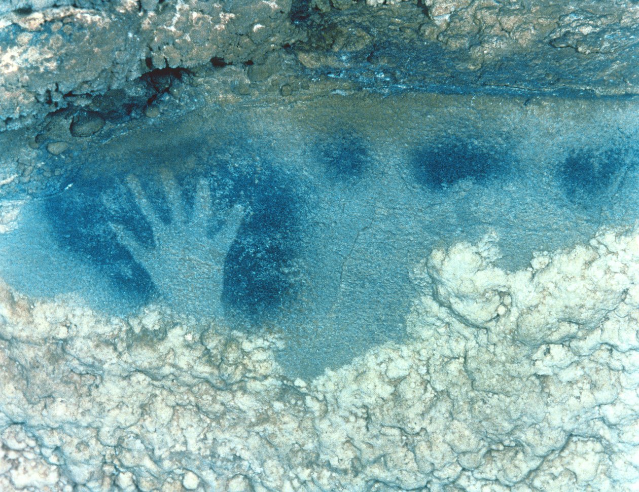 Käsistensiili, Spotted Horse -paneelin yläosasta, myöhäinen ylempi paleoliitti, Solutrean kulttuuri, n. 22000-18000 eKr. (kuva) tekijältä Paleolithic Paleolithic