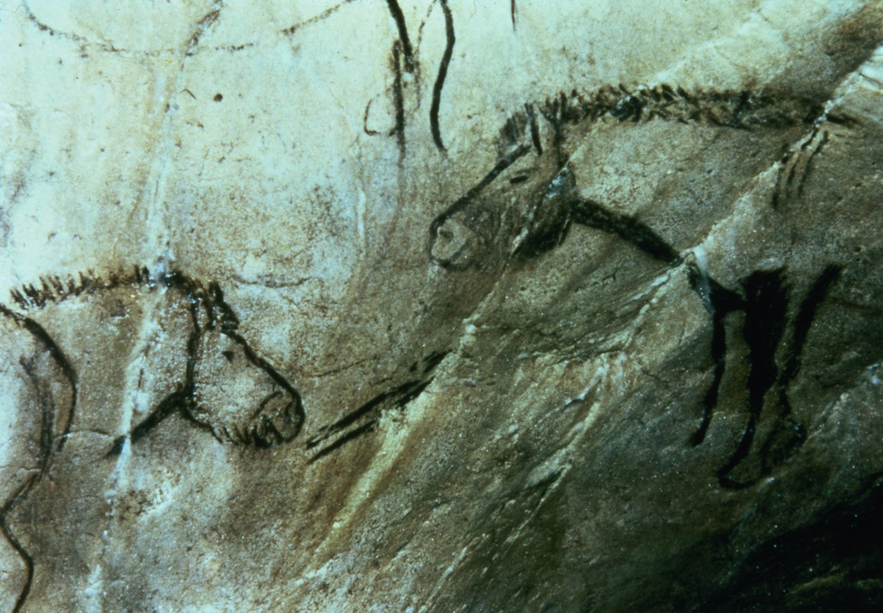 Hevosia, kalliomaalauksia Mustassa huoneessa, Magdalenian (luolamaalaus) tekijältä Paleolithic Paleolithic
