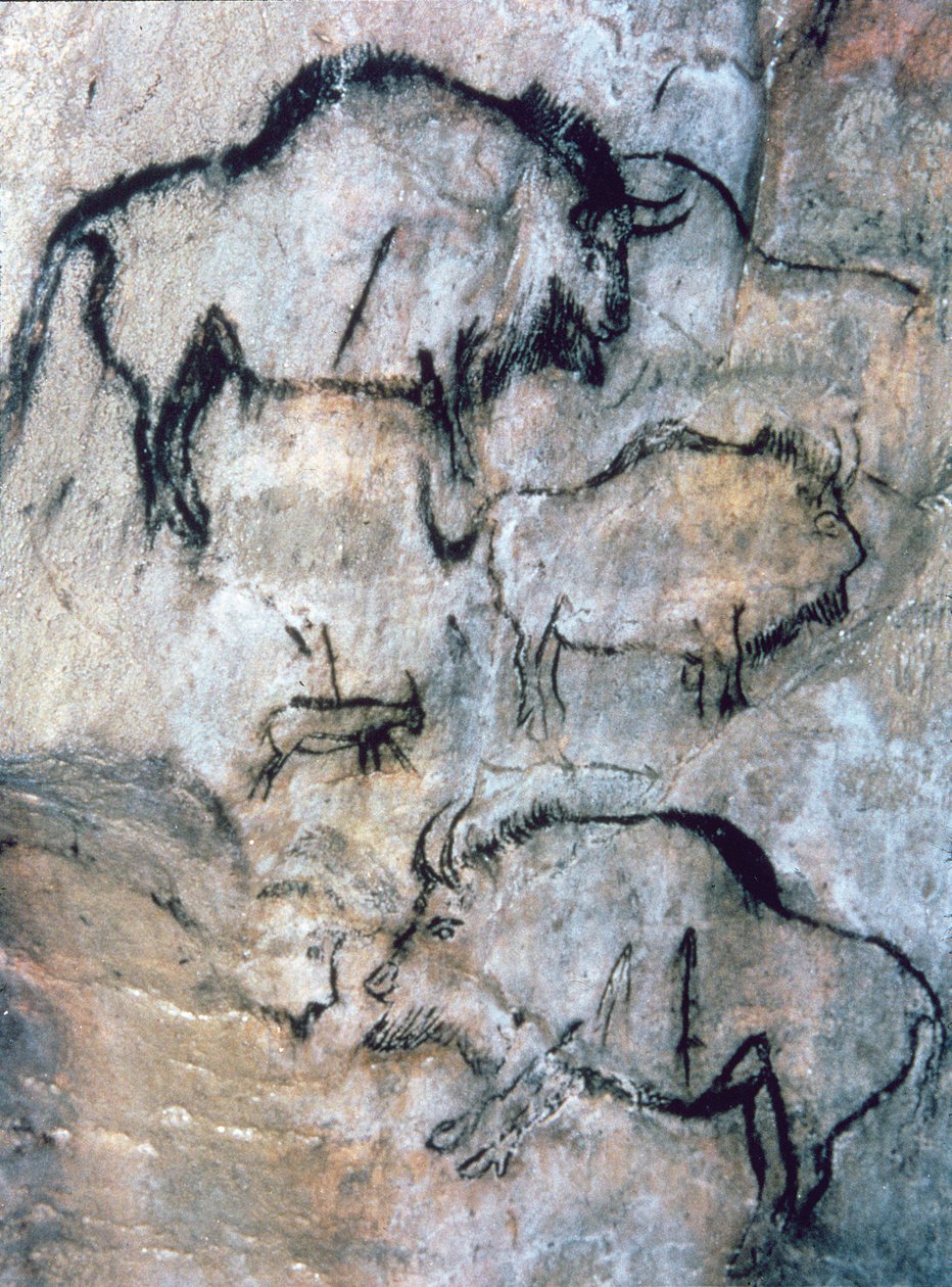 Loukkaantunut biisoni, Magdalenian (luolamaalaus) tekijältä Paleolithic Paleolithic