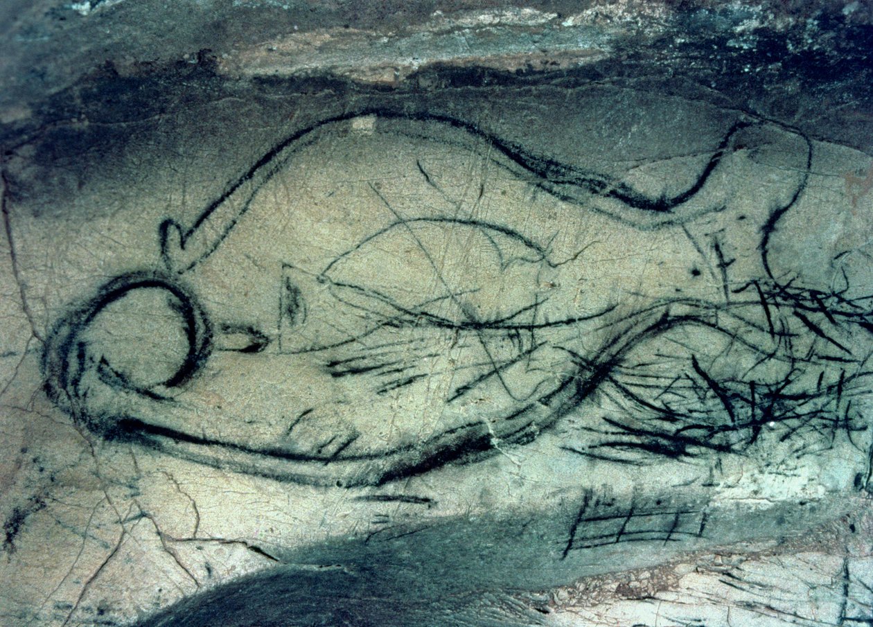Merihahmo, paleoliittikausi (n. 40000-12000 eKr.) (kuva) tekijältä Paleolithic Paleolithic