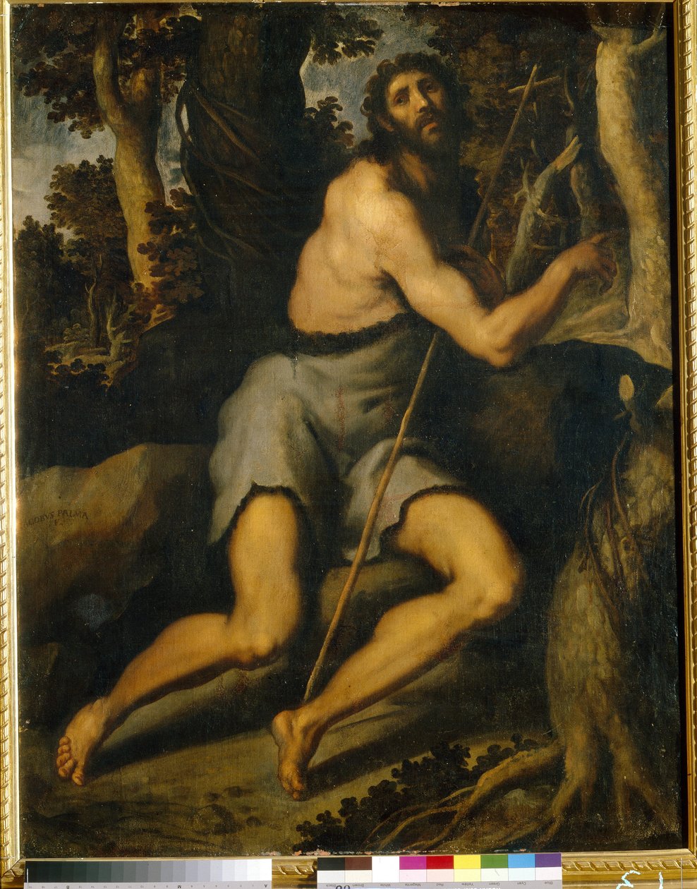 Pyhä Johannes Kastaja autiomaassa (Saint John The Baptist In The Wilderness). Jacopo Palma il Giovane, nuorempi (1544-1628), öljy kankaalle, 1500-1600-luku. Italialainen taide (Venetsia), manierismi. Länsimaisen ja itämaisen taiteen museo, Kiova (ukraina). tekijältä Palma Il  Giovane