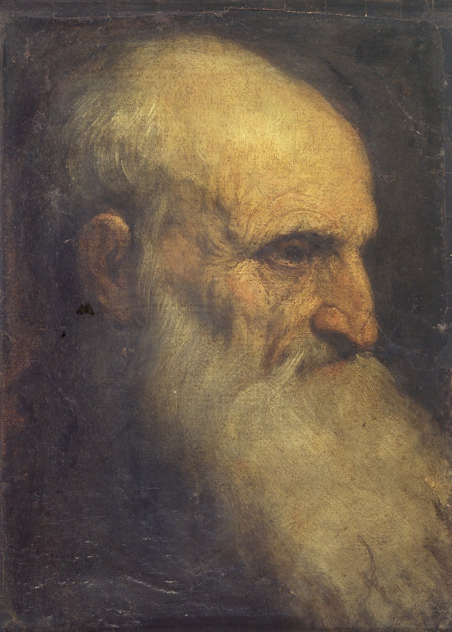 Miehen pää (edessä), n. 1588-90 (öljy kankaalle) tekijältä Palma Il Giovane
