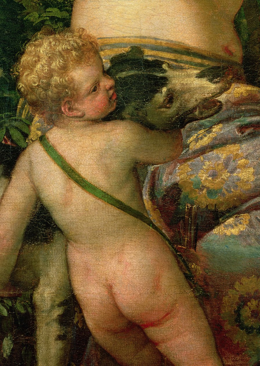 Amor, yksityiskohta teoksesta Venus ja Adonis, 1580 (yksityiskohta teoksesta 38598). tekijältä Paolo Veronese