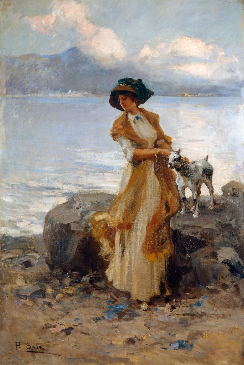 Harmony on Lake Mergozzo, Paolo Sala (1859-1924), öljy kankaalle tekijältä Paolo Sala