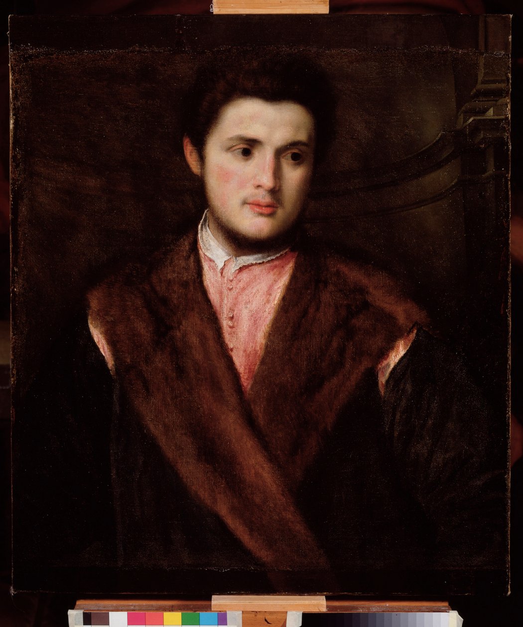 Nuoren miehen muotokuva turkista yllään Paris Bordonin maalaus (1500-1571) 1500-luku Koko 75x64 cm Genes Musei di Strada Nuova (ex Palazzo Rosso) tekijältä Paris Bordone