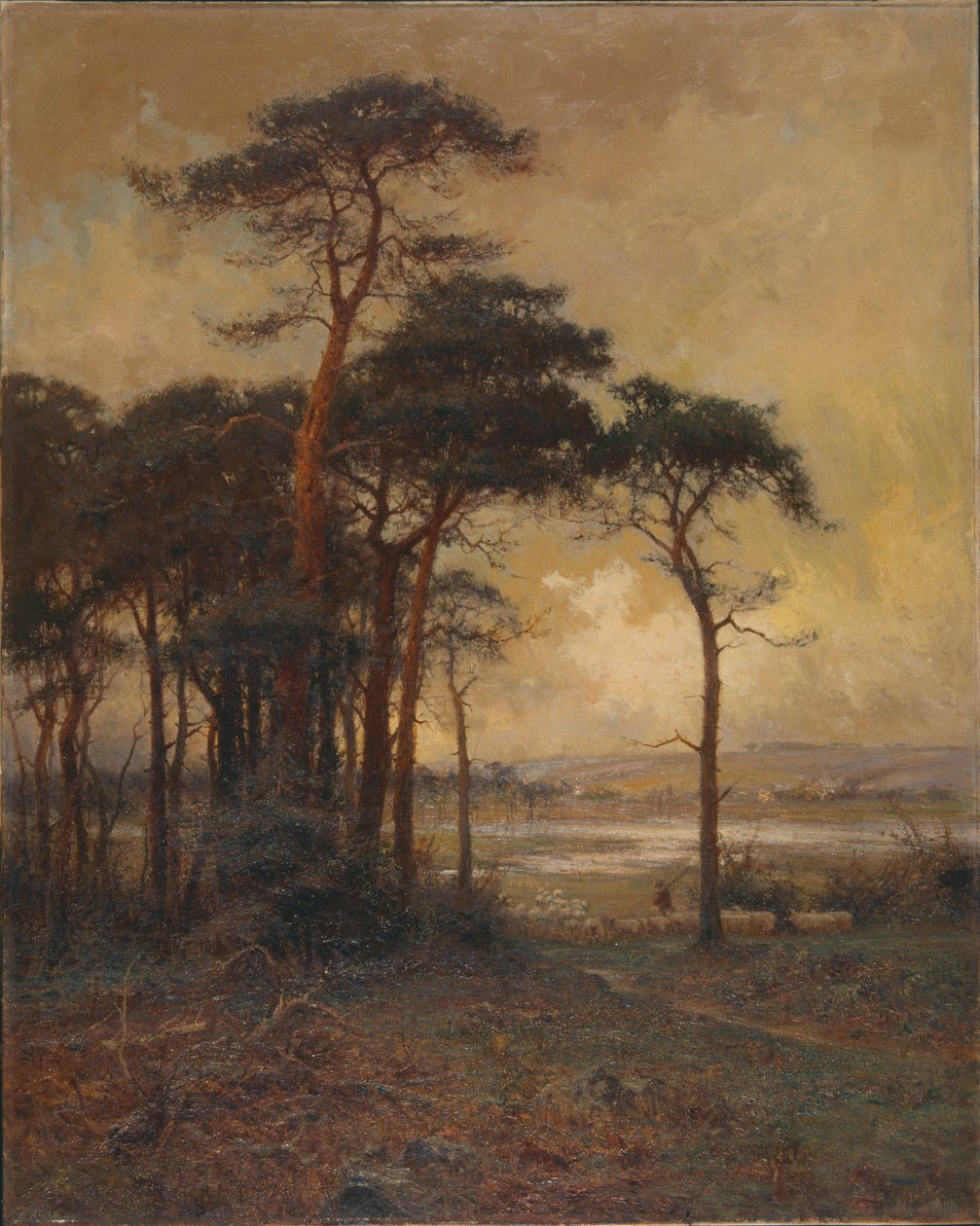 "Nummista suoon", 1879-1934 tekijältä Parker Hagarty