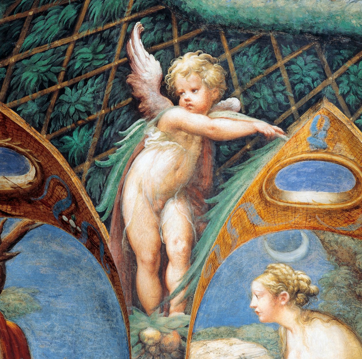 Kerubin ja Dianan kasvot, Dianan ja Actaeonin myytistä, noin tekijältä Parmigianino
