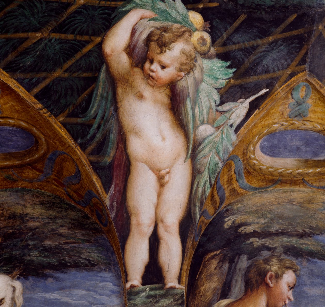 Kerub, yksityiskohta Dianan ja Actaeonin myytistä, noin tekijältä Parmigianino