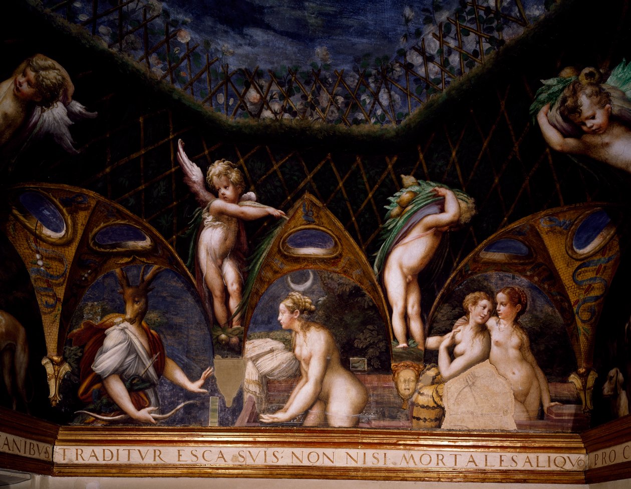 av tekijältä Parmigianino