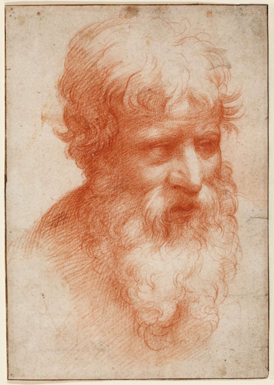 Oikealta katsovan parrakkaan miehen pää, n. 1523-25 (punainen liitu paperilla) tekijältä Parmigianino (1503 40)