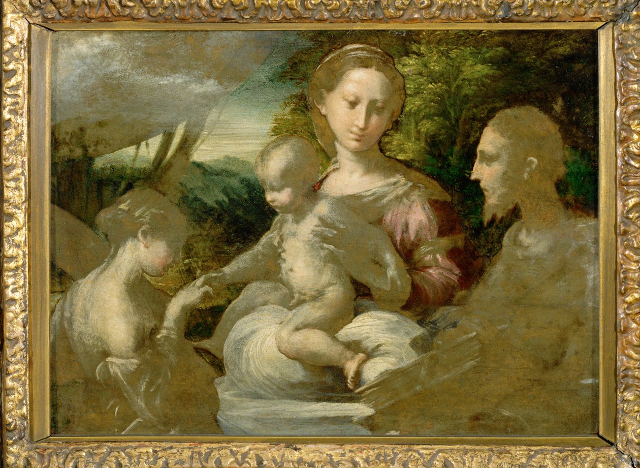 Madonna ja pyhimykset ... tekijältä Parmigianino (1503 40)