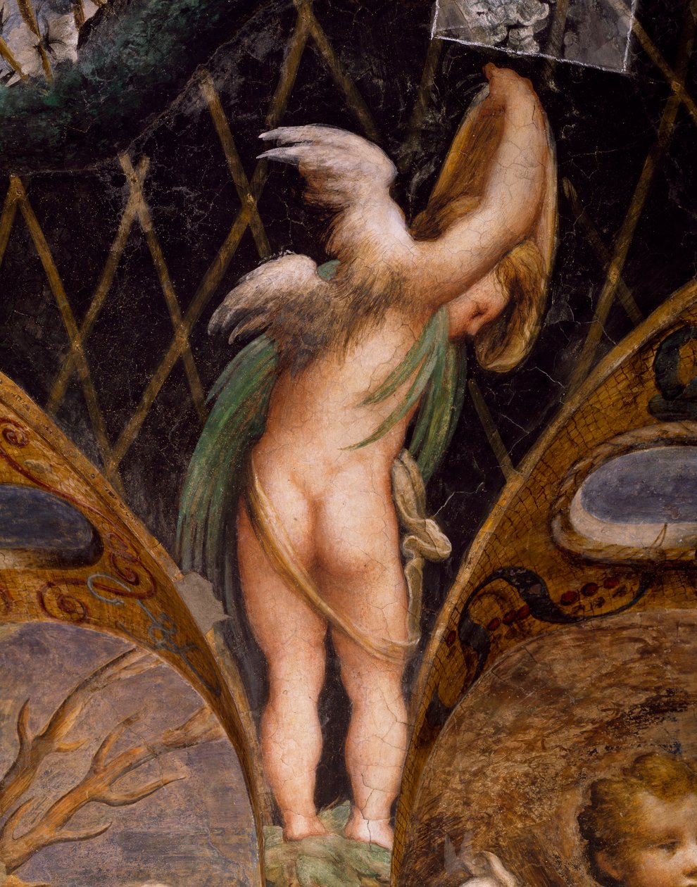 Putto, Dianan ja Actaeonin myytistä tekijältä Parmigianino