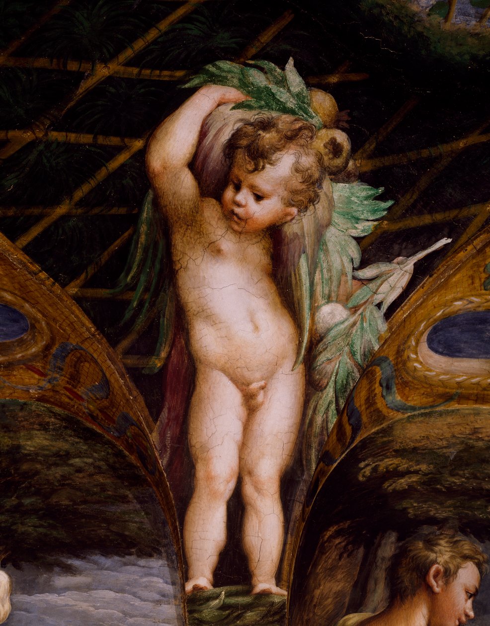 Putto, Dianan ja Actaeonin myytistä tekijältä Parmigianino