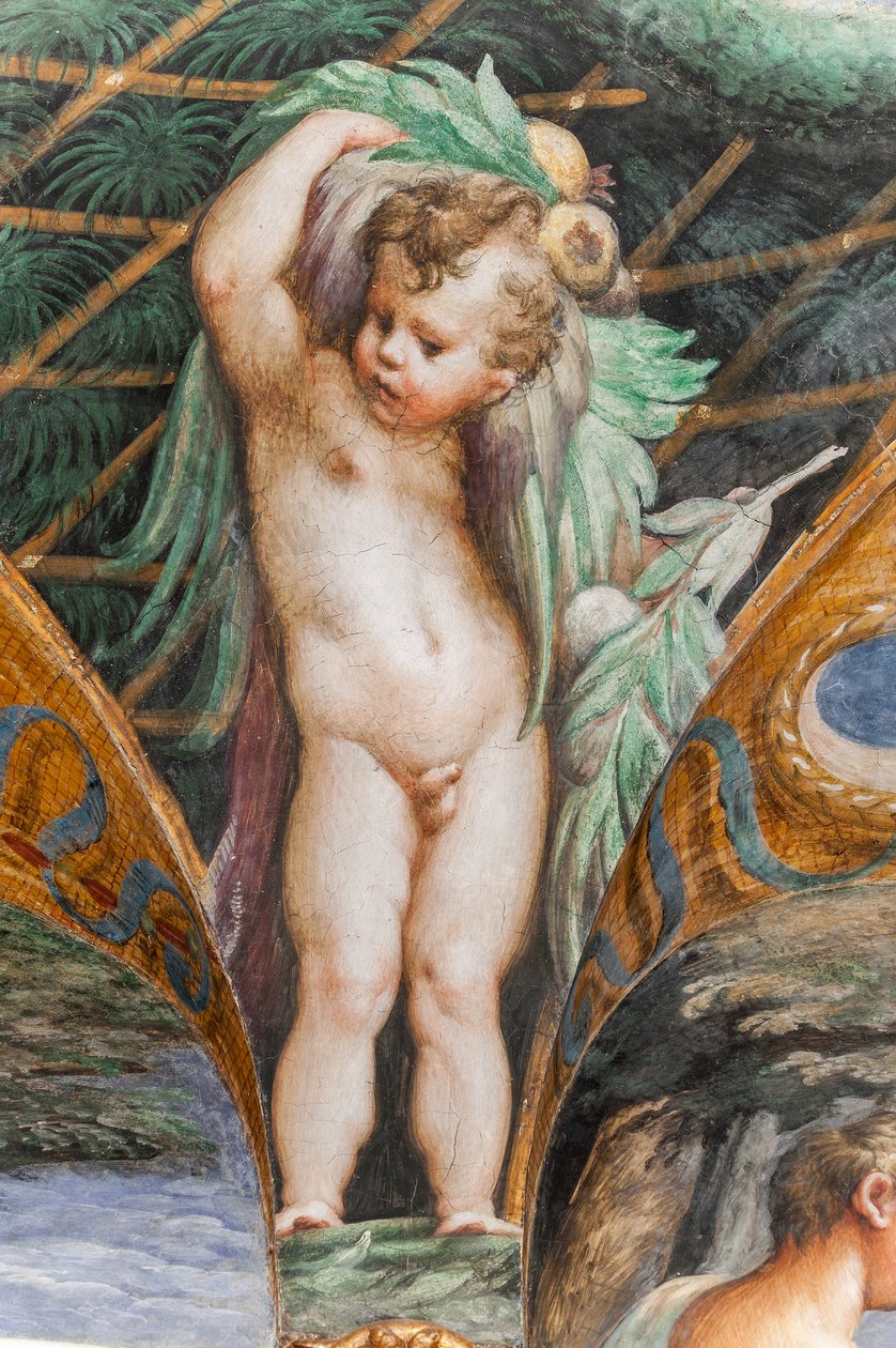 Putto, Dianan ja Actaeonin huoneesta, yksityiskohta numerosta 2384753 tekijältä Parmigianino