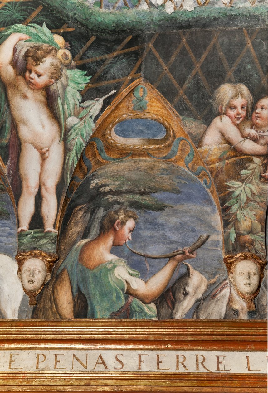 Dianan ja Actaeonin huone, yksityiskohta numerosta 2384753 tekijältä Parmigianino