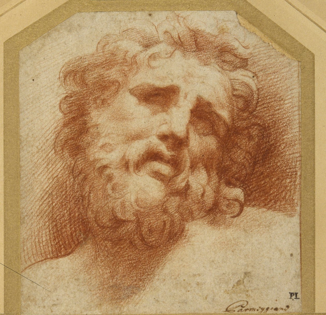 Parrakas pää, joka katsoo ylöspäin (mahdollisesti Laocoon) (punainen liitu valkoisella paperilla) tekijältä Parmigianino