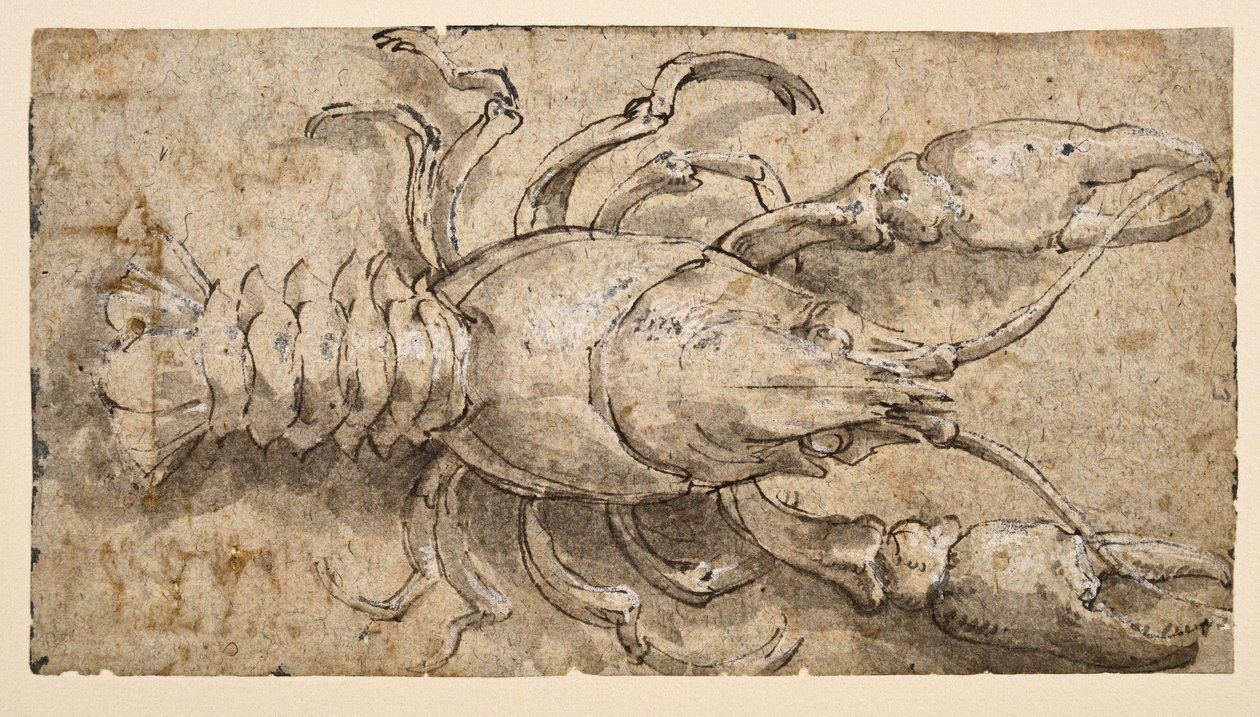 Rapu (recto) tekijältä Parmigianino