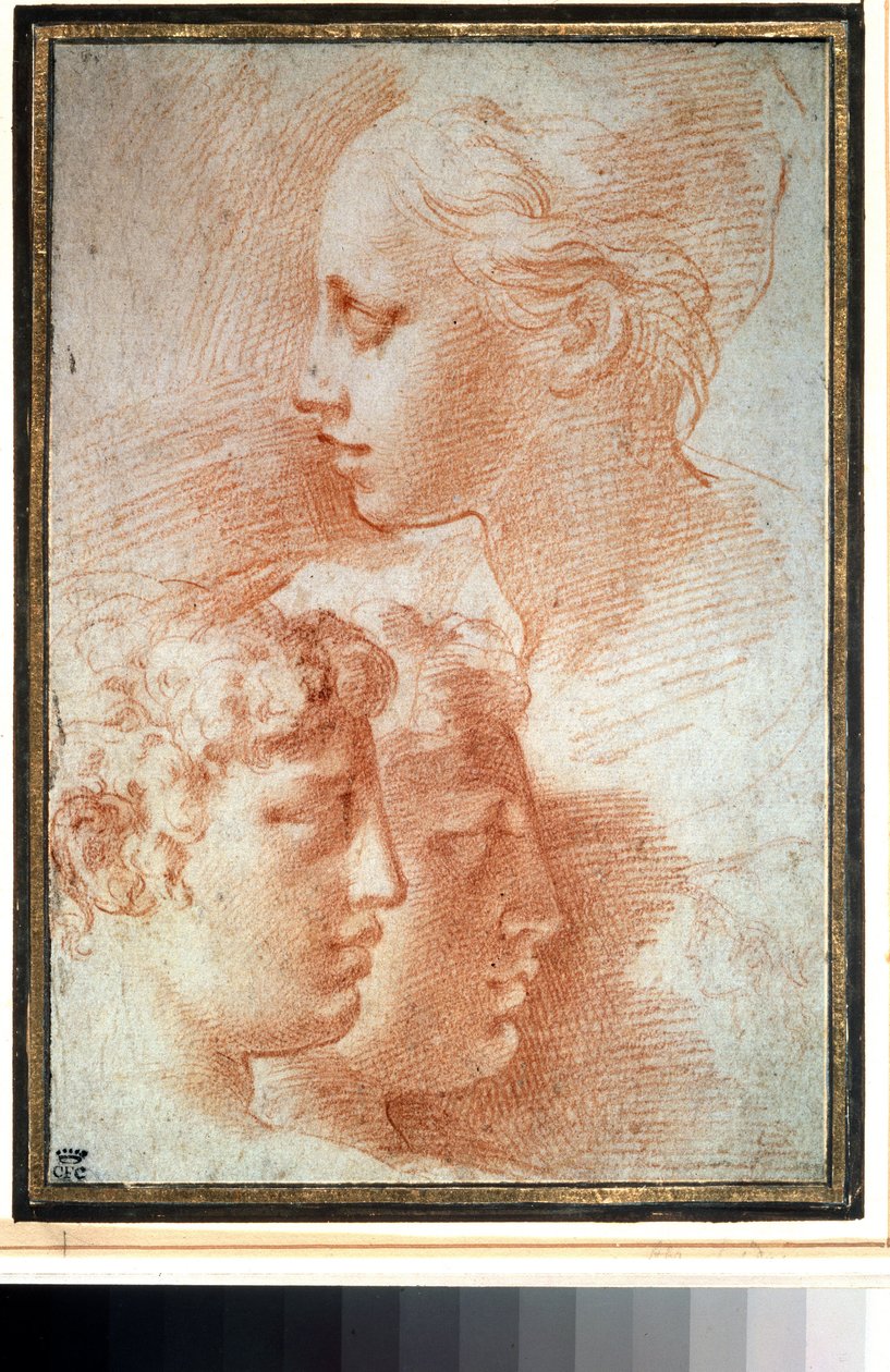 "Etude de tetes" (tutkimus päistä). Nuoren tytön ja poikien kasvoprofiili. Piirustus Girolamo Francesco Maria Mazzola tai Mazzuoli dit il Parmigianino (Parmesan tekijältä Parmigianino