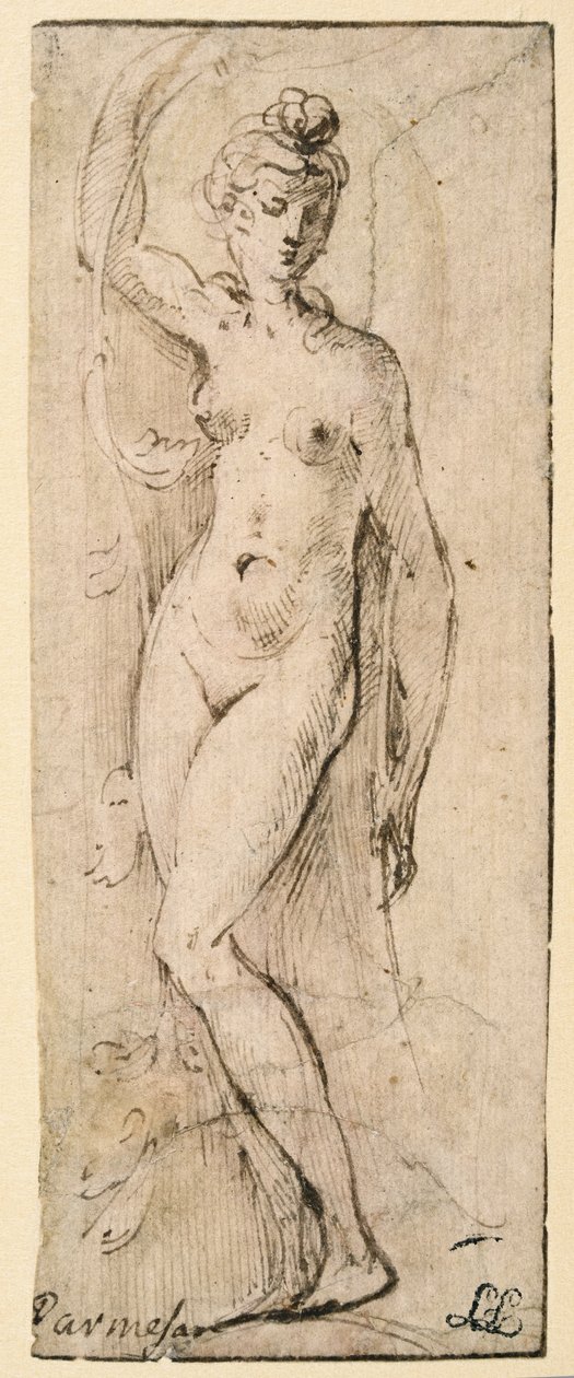 Naishahmo - tutkimus Santa Maria della Steccatalle, Parma (recto) tekijältä Parmigianino