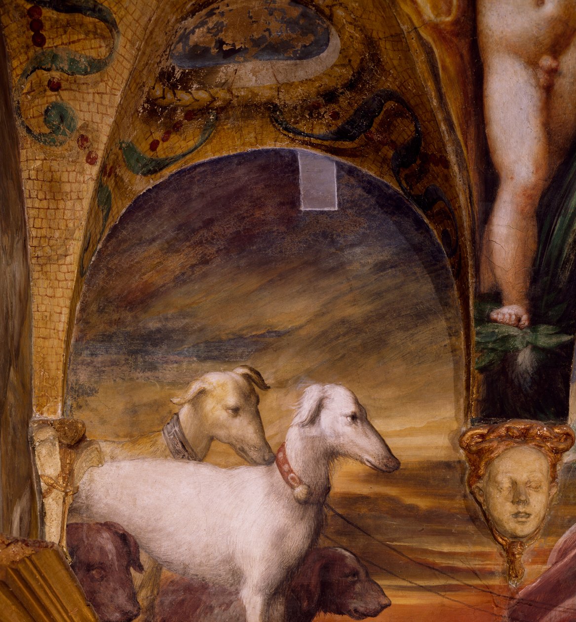 Koiraryhmä Dianan myytistä ja Actaeonista tekijältä Parmigianino