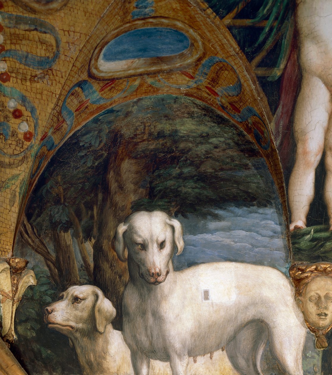 Koirapari, yksityiskohta Dianan ja Actaeonin myytistä, Francesco Mazzola tunnetaan nimellä Parmigianino (1503-1540), fresko, Room of Diana and Actaeon pohjoispuolella, Rocca Sanvitale, Fontanellato, lähellä Parmaa, Italia, noin 1524 tekijältä Parmigianino