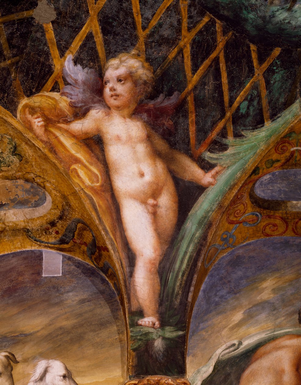 Putto, Dianan ja Actaeonin myytistä tekijältä Parmigianino