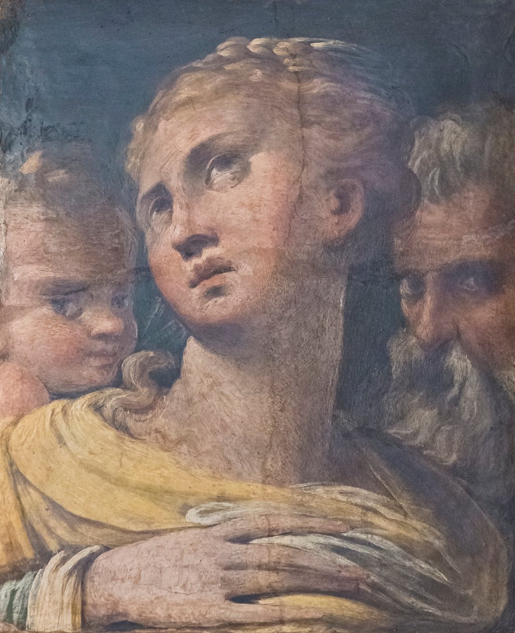 Kolme päätä tekijältä Parmigianino (1503 40)