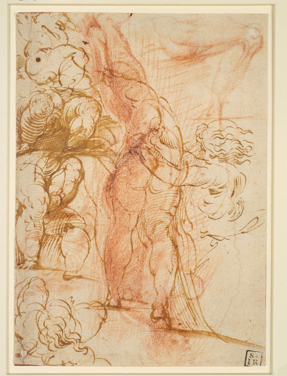 Mehrere Beinstudien von Putten, einwärts laufender Männerakt, Beinstudie und stehende Figur tekijältä Parmigianino