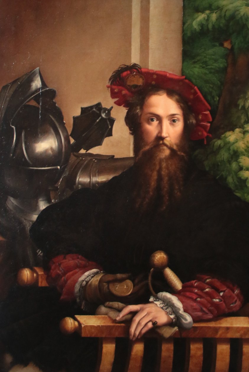 Galeazzo Sanvitalen muotokuva tekijältä Parmigianino