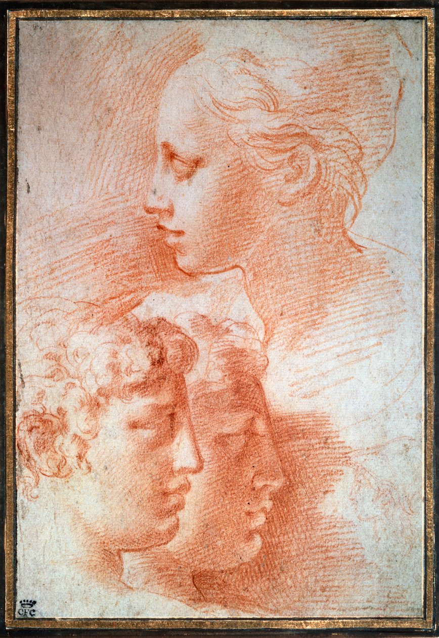 Tutkimus päistä, c1527 tekijältä Parmigianino