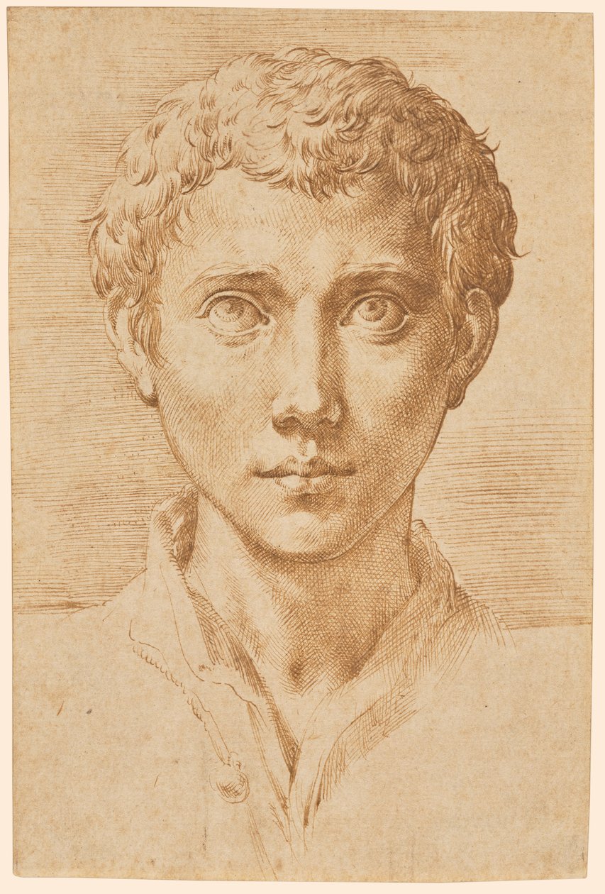 Nuoren miehen pää tekijältä Parmigianino