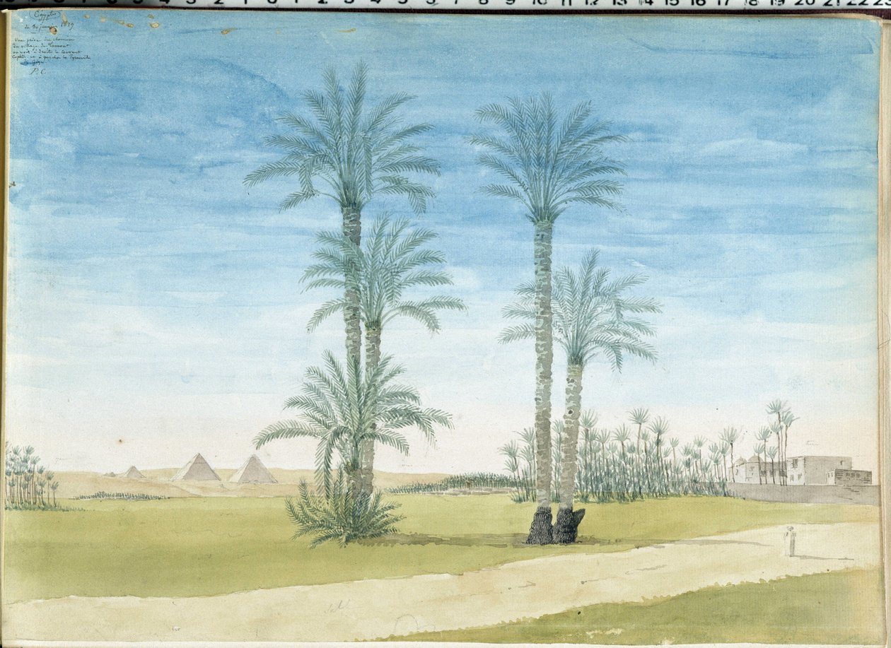 Egypti: "" Gyzen pyramidit (Guizeh, Guiseh, Giza) Pascal Costen piirustus (1787-1879) Välimeren arkeologian museo, Marseille tekijältä Pascal Xavier (after) Coste